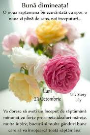 Maria Maria Google Flowers Pics Rose