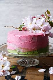 Raspberry Matcha Celebration Cake Gluten Free Vegan Kuchen Und Torten Rezepte Leckere Torten Einfach Backen
