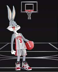 A desktop wallpaper is highly customizable, and you can give yours a personal touch by adding your images (including your photos from a camera) or download beautiful pictures from the internet. Looney Tunes Basketball Wallpapers Top Free Looney Tunes Basketball Backgrounds Wallpaperaccess