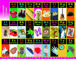 Students will love practicing the alphabet with colorful alphabet charts and other activity ideas provided by education.com. Alphabet Teaching Chart Steps To Literacy Shop
