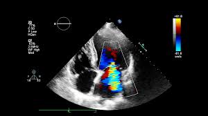 ミネルバクリニック