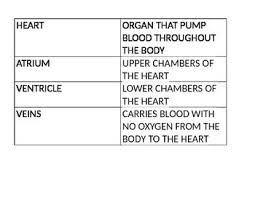 Circulatory System Vocabulary Vocabulary Circulatory System Paramedic School