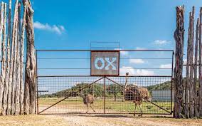 Pin On Texas Critters And Adventure