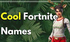 If you have your own name but want to put a tryhard look on it, put a lowercase 'x' or 'v' at the front of your name, for example v (name). List Of Sweaty Fortnite Names 2021 Good Cool Funny Techbenzy