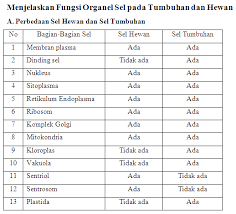 Namun, sel hewan dan sel tumbuhan memiliki struktur yang agak berbeda karena karakteristiknya yang berbeda juga. 13 Fungsi Organel Sel Pada Hewan Tumbuhan Kopassu Suka Biologi