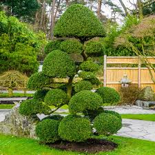 Maybe you would like to learn more about one of these? How To Make A Topiary The Home Depot