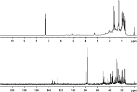 Image result for Synadenium glabratum