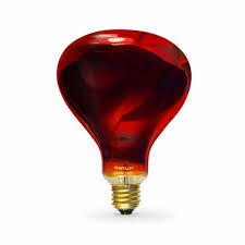 Infrared Lamp Health Uses And The Best Ones To Buy 2020