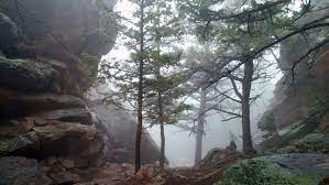 Why Is Hiking So Different From Stair Climbing 50by25