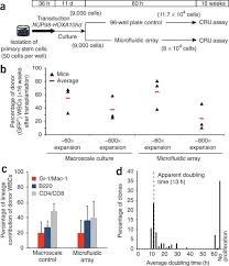 Schimbați din lire sterline în lei românești utilizând convertorul nostru valutar. High Throughput Analysis Of Single Hematopoietic Stem Cell Proliferation In Microfluidic Cell Culture Arrays Nature Methods