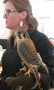 While I was writing about Steve Hilgenberg, I started thinking about all  those who have gone