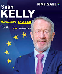 Kilkenny Observer 31st May 2024 by Kilkenny Observer