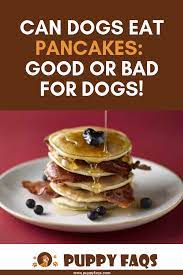 Can Dogs Eat Pancakes Good Or Bad For Dogs Can Dogs Eat Pancakes Can Dogs Eat Dog Pancakes