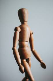 You can also choose from anatomical model, manikin, and skeleton model body. 5 Anatomy Books To Increase Your Understanding Of The Human Body Yogamatters Blog