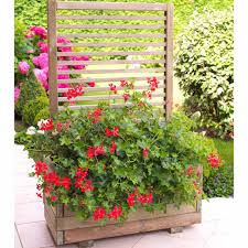 Le bouturage est une technique simple et facile pour obtenir de nouveaux plants. Plantes Vivaces Pour Jardinieres Exterieures Leroy Merlin