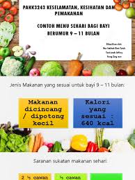 Ketika mereka banyak belajar merangkak, berguling atau duduk dengan mandiri pada usia 8 bulan, maka perkembangan bayi akan terlihat sangat cepat pada bulan ini. Menu Sehari Bayi Umur 9 11 Bulan