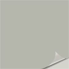 I am using extra white for the trim but still need a color for my front door and shutters. Sensible Hue Peel And Stick Paint Sample Rugh Design