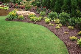 Georgia Lawn Ideas Lawn And Garden Front Landscaping Grasses Garden