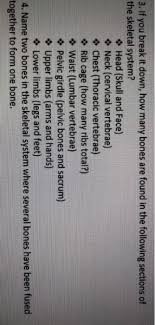 Our human skeletal system is made up of about 300 bones at birth. Solved 3 If You Break It Down How Many Bones Are Found Chegg Com