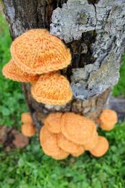 Your guide for all types of crafts. 9 Yarnstorm Ideas Yarn Bombing Knitting Crochet Projects