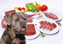 While it can be daunting to start a raw diet, it offers a lot of benefits. Raw Dog Food Diet Recipes For Cane Corso Puppies And Adults