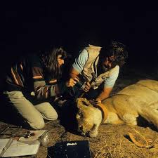 Delia owens and her husband, mark owens, are zoologists who have written books together about their animal a publishers weekly contributor observed: Reese Witherspoon Book Club Author Delia Owens Involved In Murder Mystery