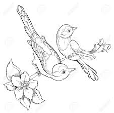 Bird Sitting On Tree Drawing For Kids Two Birds Sitting On Blooming Cherry Tree Vector Illustration Tree Sketches Cherry Blossom Vector Tree Painting Canvas