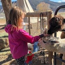 11 Amazing Free Things To Do In Colorado According To The Locals