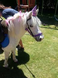 Hire birthday party through gigmasters today! Childrens Party Packages For Hire Hire Rent Or Lease Childrens Party Packages Today New Zealand Aotearoa Hire Things