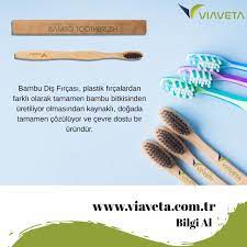 Bambu Dis Fircasi Bambu Bitki Dis