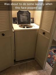 The Best Funny Pictures Of Today S Internet Funniest Cat Memes Funny Cat Memes Cat Memes