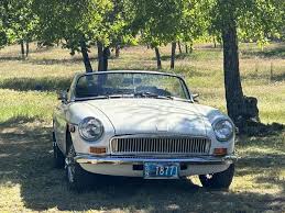 Image result for Porcelain White 1979 MG