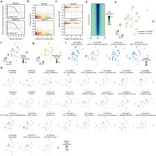 Himpunan soalan peperiksaan trial spm 2017 mengikut subjek pelbagai negeri termasuk sbp dan mrsm. A Cis Regulatory Atlas In Maize At Single Cell Resolution Biorxiv