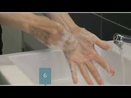 Lavage Des Mains Selon L Oms Youtube