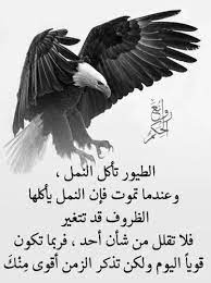 حكم بالانجليزي عن الغربه صور حكم وأمثال عن الحياة أكتب اسمك على الصور bald eagle arabic words poster