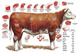 Check spelling or type a new query. Pin On Recipes