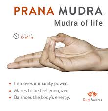 Prana Mudra Mudras Yoga Asanas Yoga Mantras