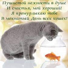 Площадь префектуры составляет 2188,67 км², население — 14 064 696 человек (1 октября 2020), плотность населения — 6426,14 чел./км². S Dnem Kota 2021 Zabavnye Pozdravleniya Smeshnye Kartinki Video Prikoly