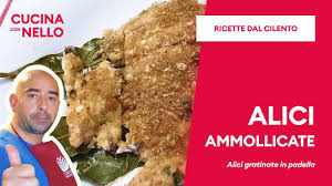 We did not find results for: Alici Ammollicate Ricetta Semplice E Veloce In Padella Youtube
