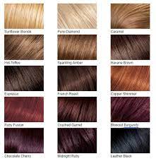 Brown hair looks light brown hair light blonde light hair. Beautiful Hair Color Palette 2020