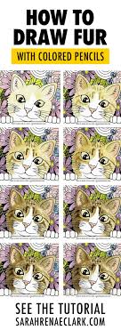 Once the darker tones are firmly established it is time to build up the colors in the dog's hair. How To Draw Fur With Colored Pencils Adult Coloring Tutorial