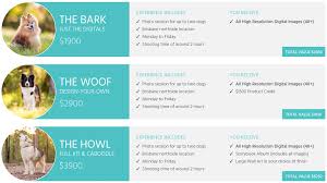 Extra $4.99 off, ends tomorrow. Dog Photography Packages Charlotte Reeves Photography