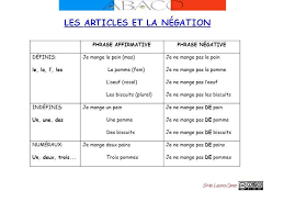 Les Articles Et La Negation Learn French French Grammar French Lessons