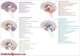 Many children with a brain tumor experience headaches before their diagnosis. 100 Pediatric Brain Tumors Ideas Brain Tumor Tumor Pediatrics