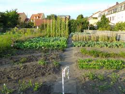 Botanischer garten bamberg is a garden in bamberg and has an elevation of 237 metres. Bamberg Besuch Im Sortengarten Und In Der Gemusekochschule Genussregion Oberfranken