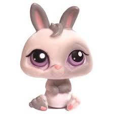 Choose your location az, tempe ca. Pin By Brooklyn Comes On I Will Never Grow Up Pet Rabbit Pet Shop Littlest Pet Shop