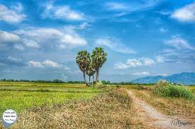 Tand huyện tri tôn tổ chức phiên tòa hình sự sơ thẩm rút kinh nghiệm. 50 Ä'iá»ƒm Check In Khong Thá»ƒ Bá» Qua Khi Du Lá»‹ch Bá»¥i An Giang Pháº§n 1 Gody Vn