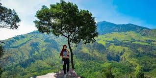 Maybe you would like to learn more about one of these? 35 Kata Kata Keindahan Alam Keren Dan Sangat Inspiratif Merdeka Com