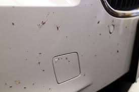 イヤ～な虫のこびり付き！ 虫取りリムーバーで簡単に落とせます。 | ホットカンパニーの「お仕事日記」