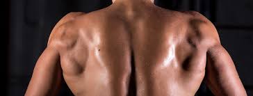 Serrato posterior inferior, serrato posterior superior, iliocostal, longisimo o espinal torácico. Los Ejercicios Para Dorsales Que No Pueden Faltar En Tu Entrenamiento